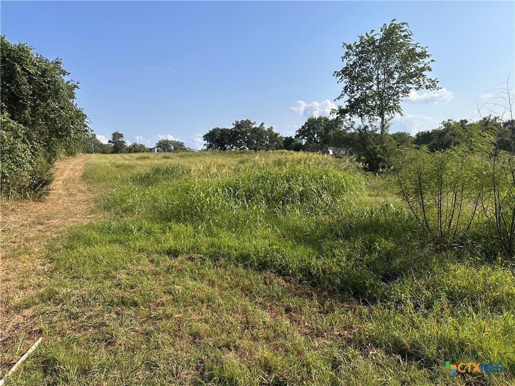 3 acres in DeWitt County gallery image 3