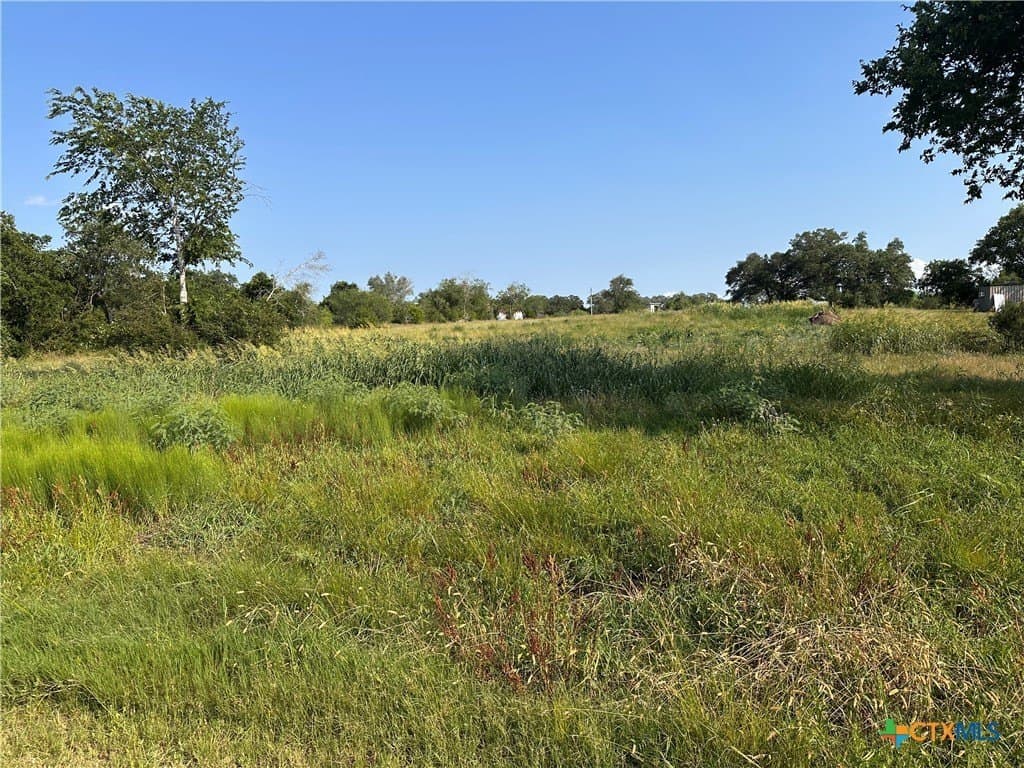 3 acres in DeWitt County gallery image 4