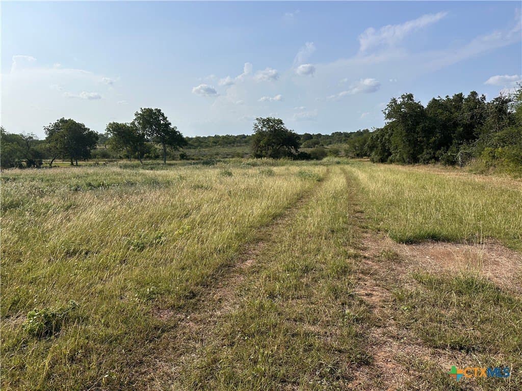 3 acres in DeWitt County featured view