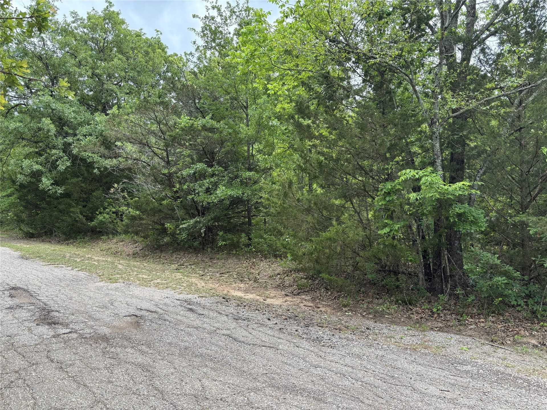0.21 acres in Hunt County - photo 2