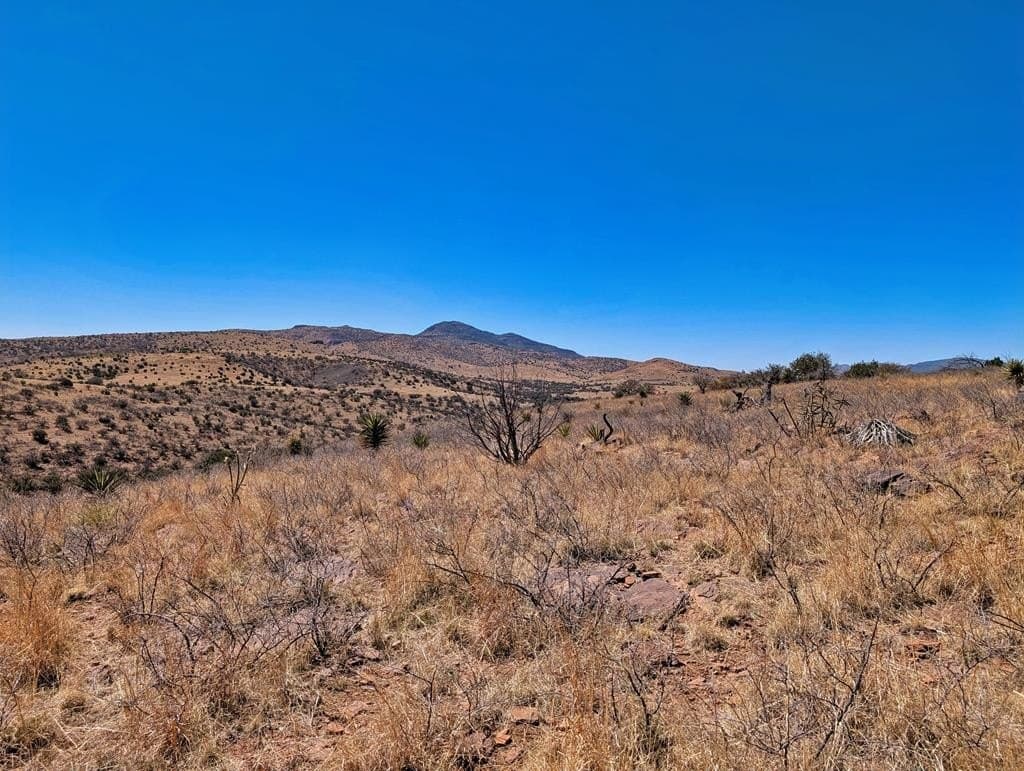26.94 acres in Jeff Davis County - photo 47