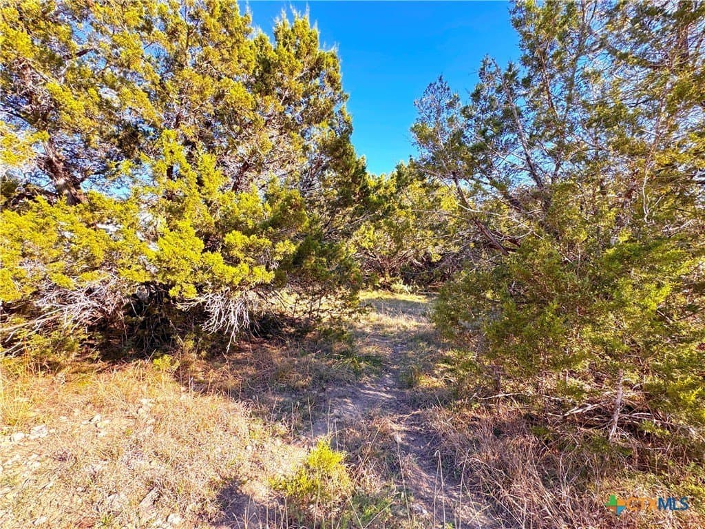 0.23 acres in Comal County - photo 10