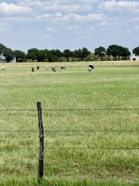 40.56 acres in Montague County - photo 31