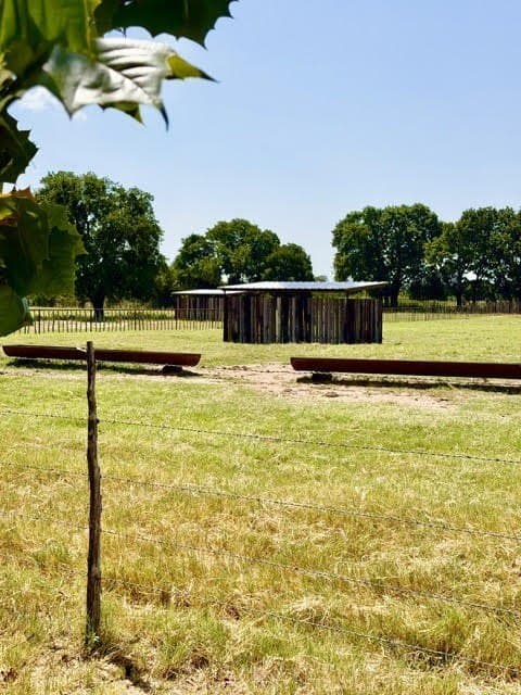40.56 acres in Montague County - photo 28