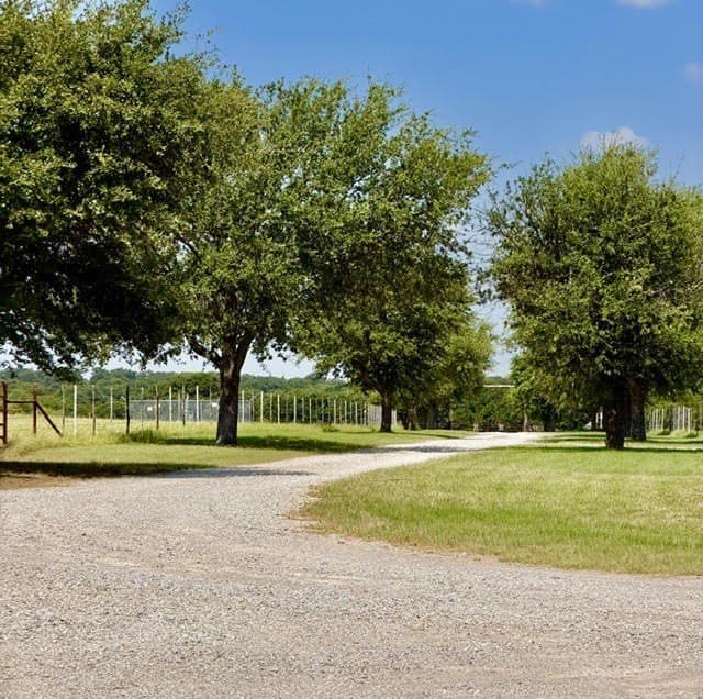40.56 acres in Montague County featured view