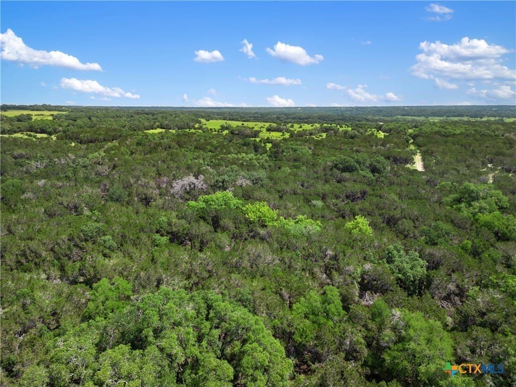 11.88 acres in Travis County - photo 7