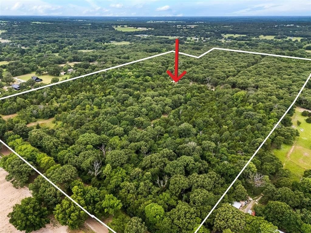 62.1 acres in Van Zandt County gallery image 2