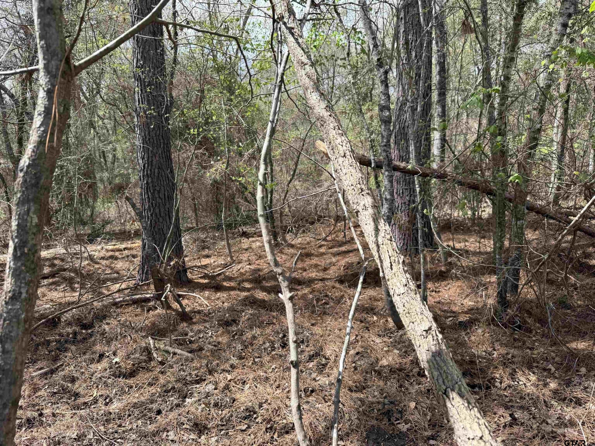 152.69 acres in Cherokee County - photo 39