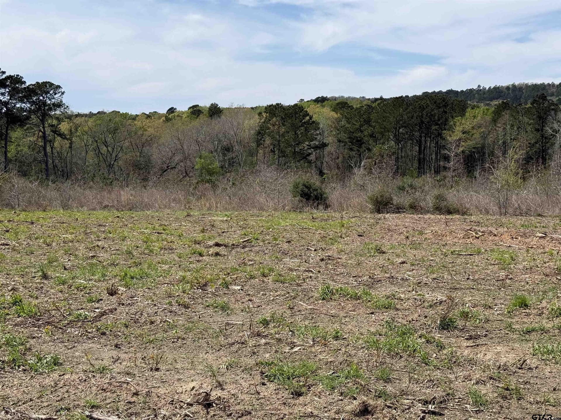 152.69 acres in Cherokee County - photo 43