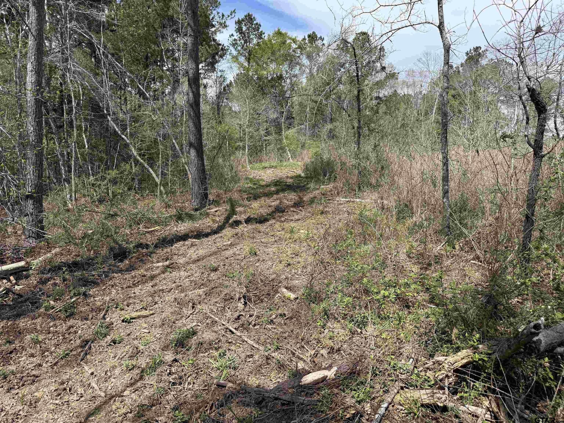 152.69 acres in Cherokee County - photo 40