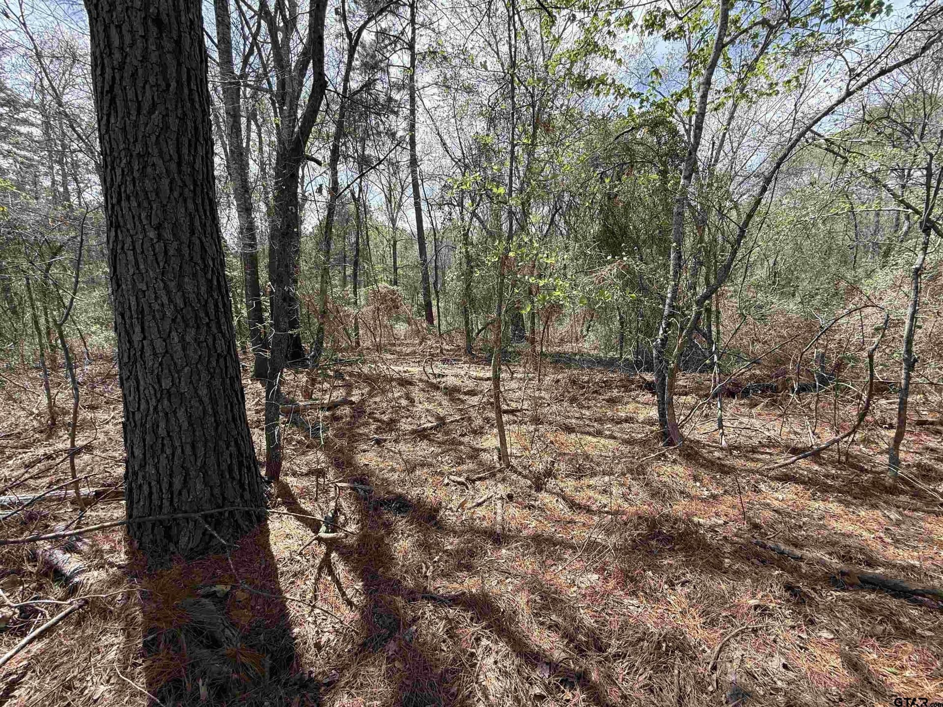 152.69 acres in Cherokee County - photo 37