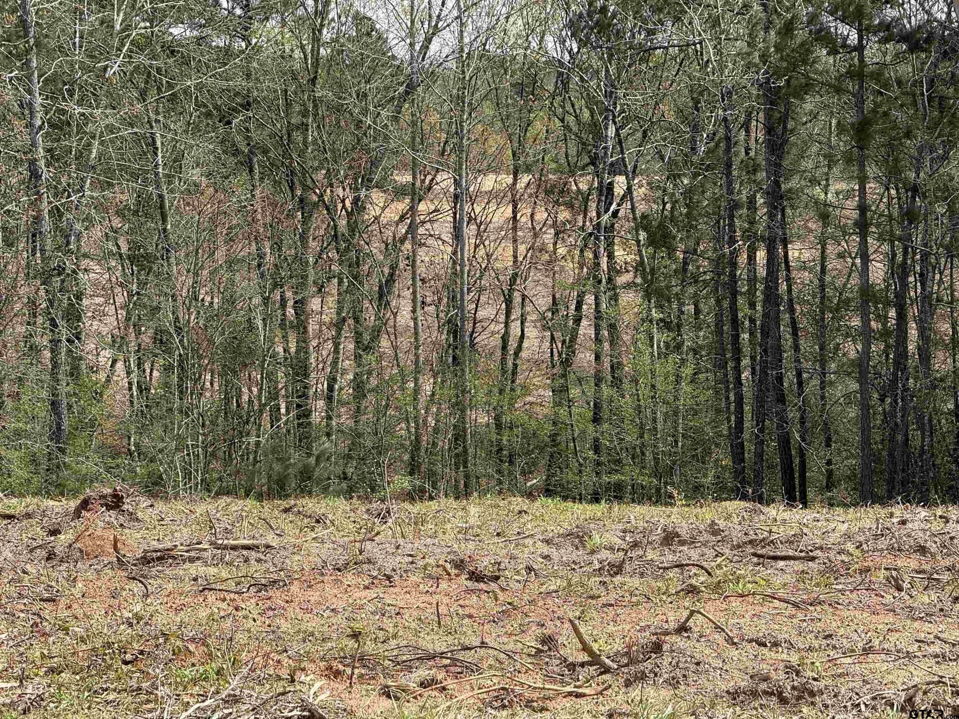 152.69 acres in Cherokee County - photo 34