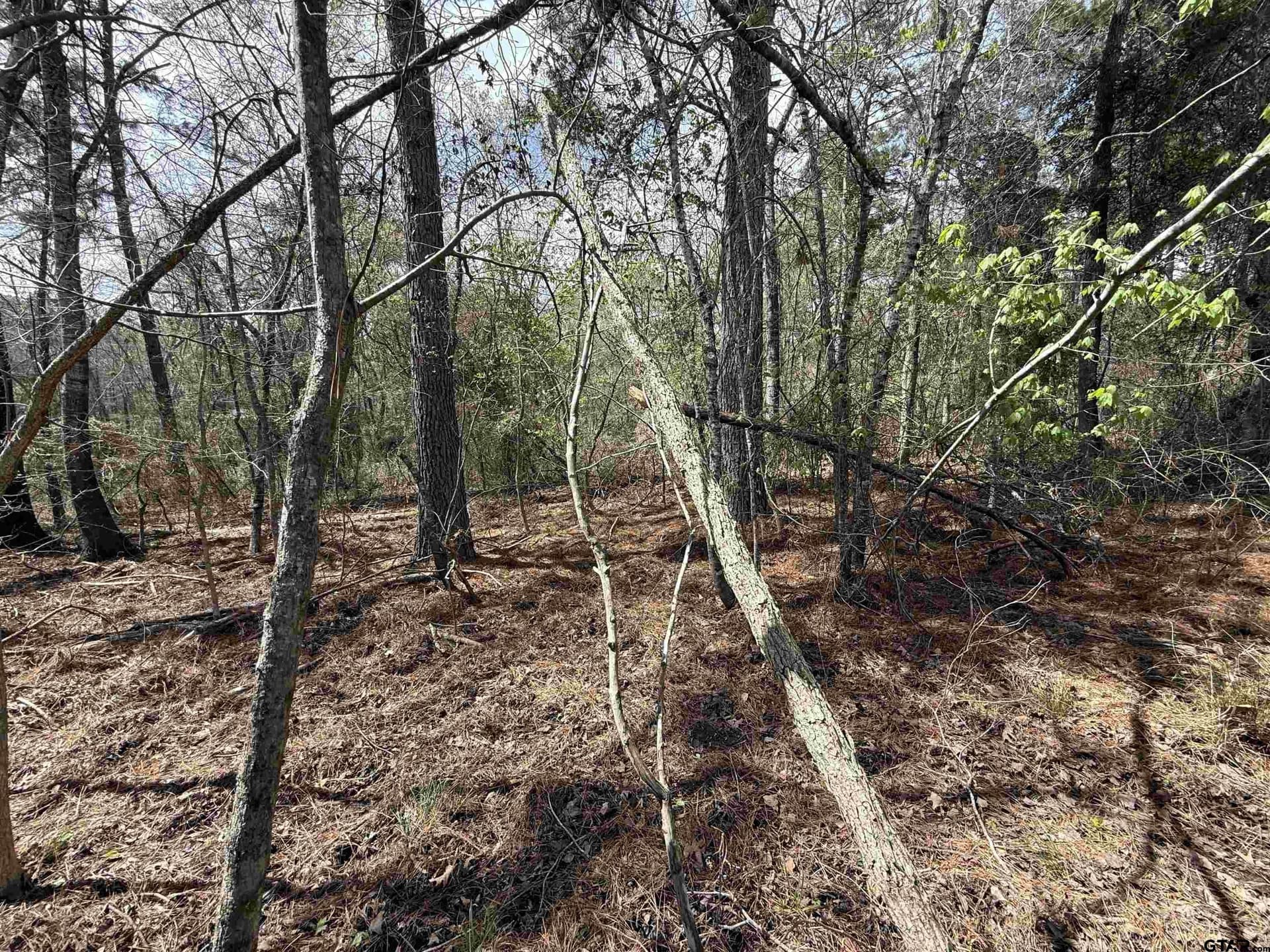 152.69 acres in Cherokee County - photo 38