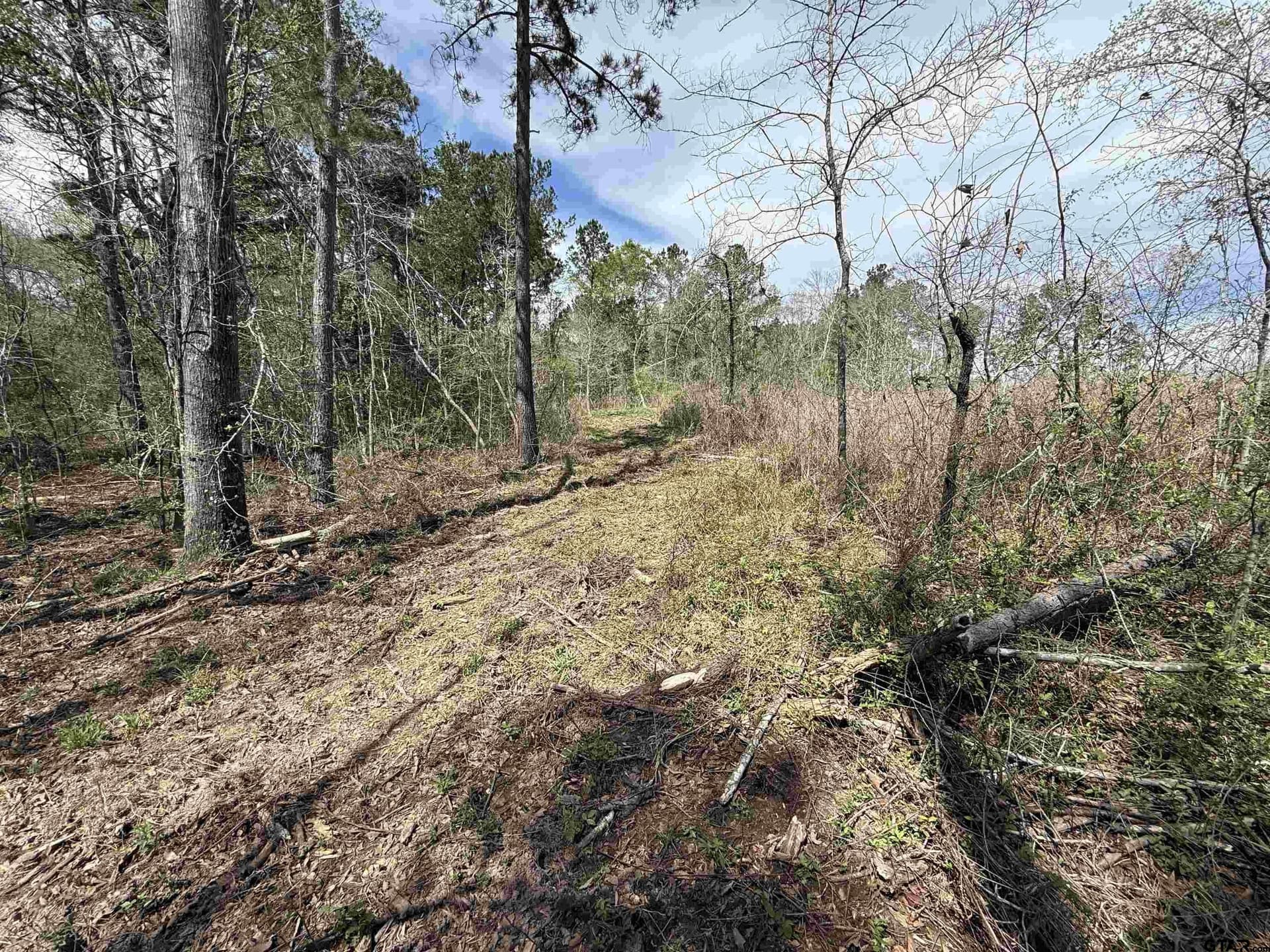 152.69 acres in Cherokee County - photo 41