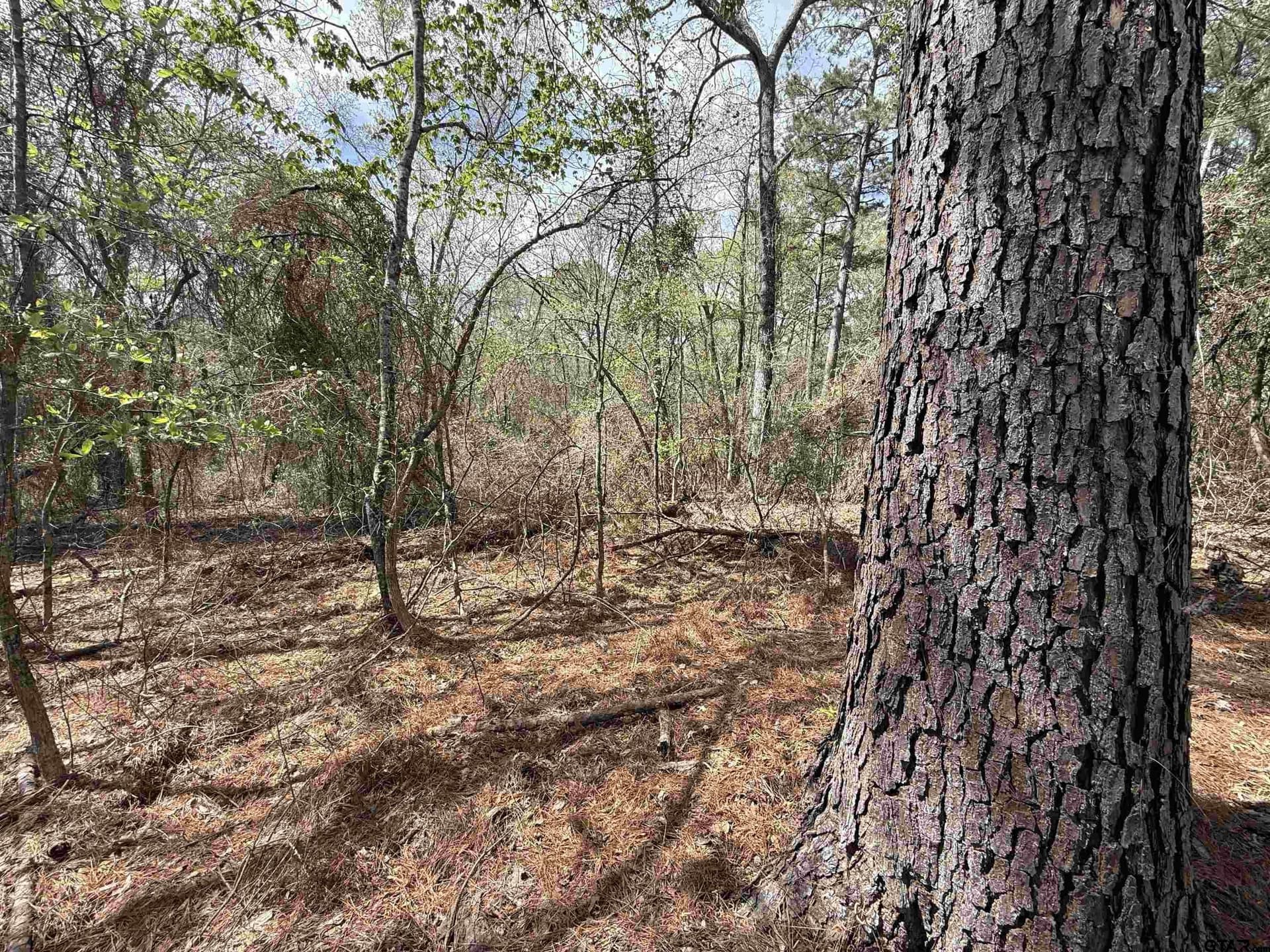 152.69 acres in Cherokee County - photo 36