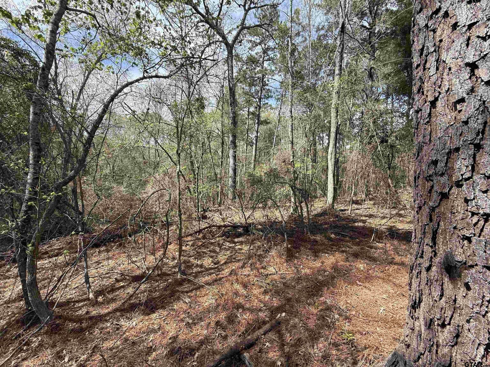 152.69 acres in Cherokee County - photo 35