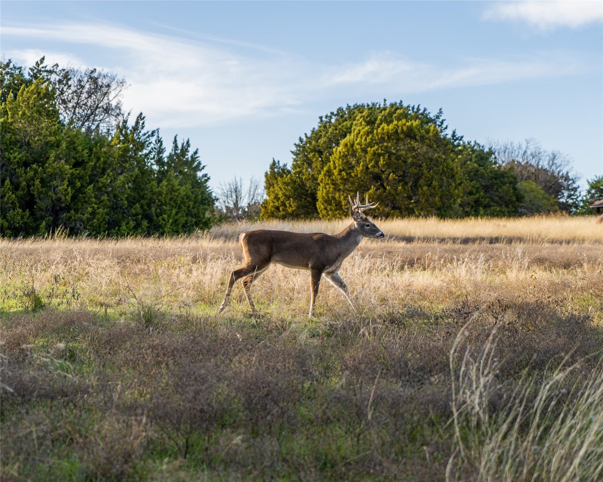 0.3 acres in Hill County - photo 35
