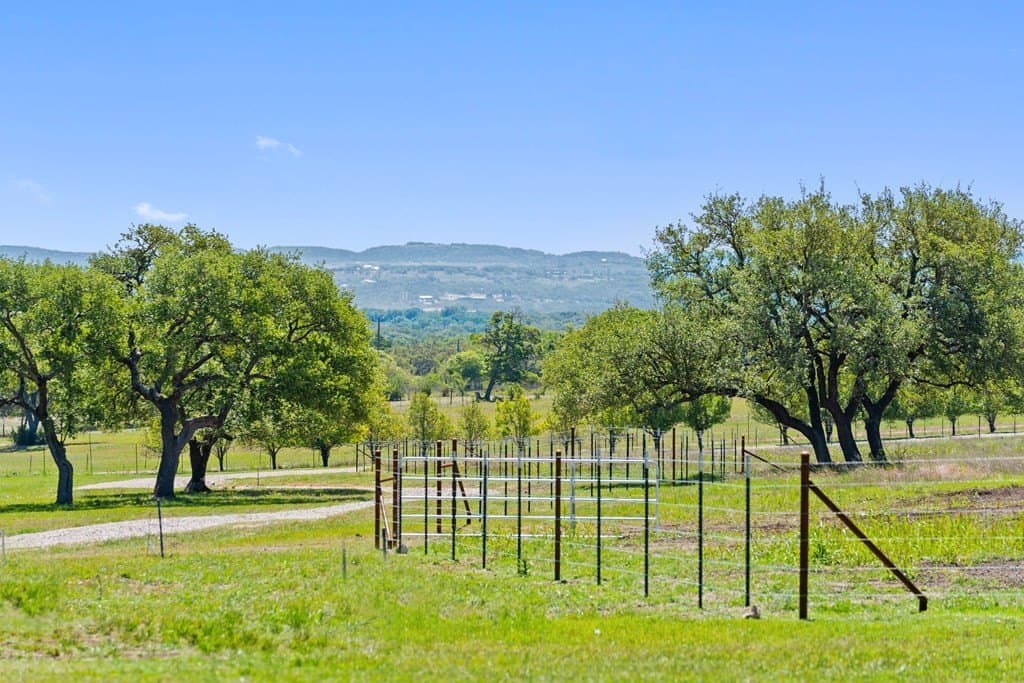 42 acres in Blanco County gallery image 2