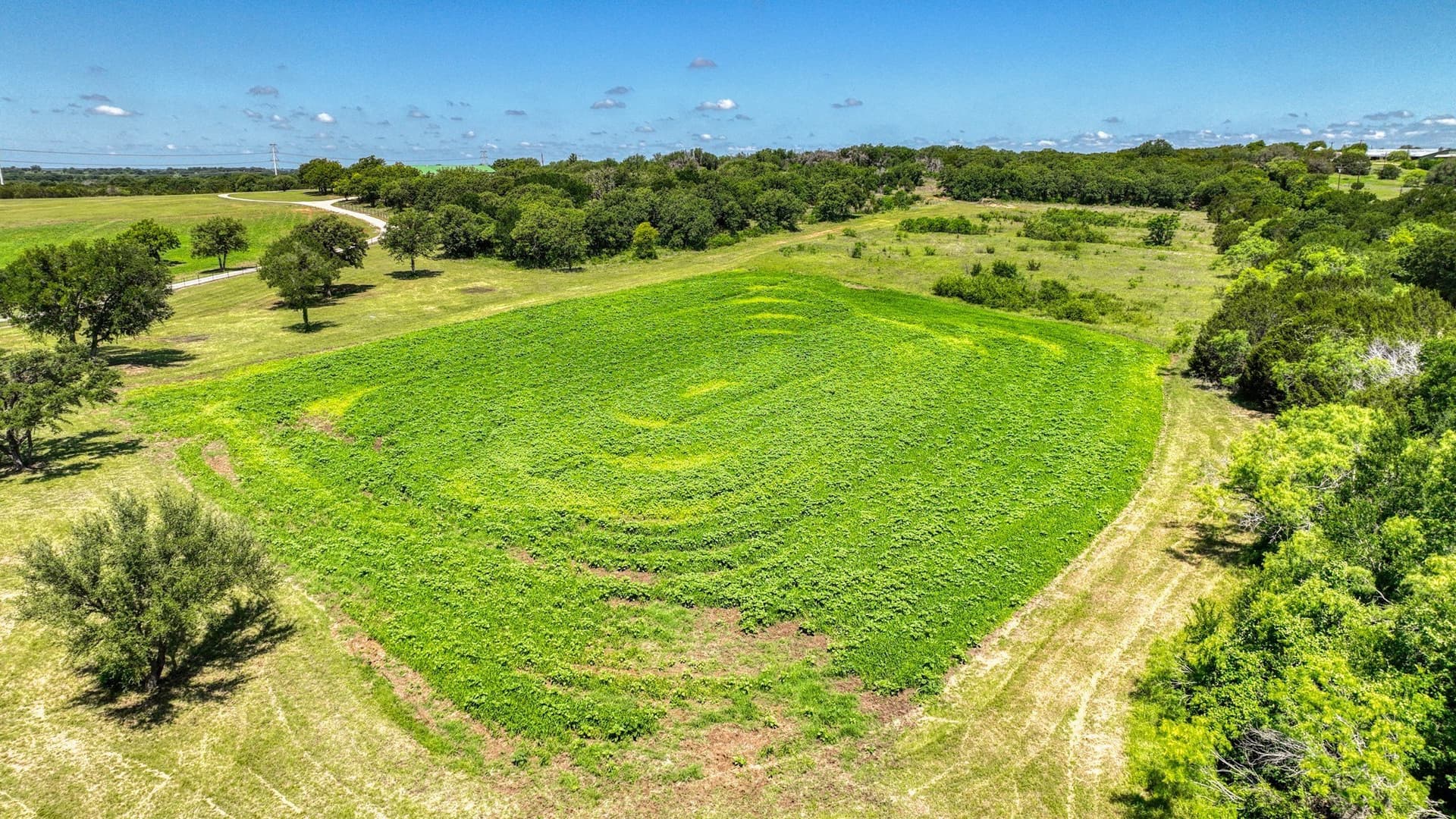 25 acres in Erath County - photo 38