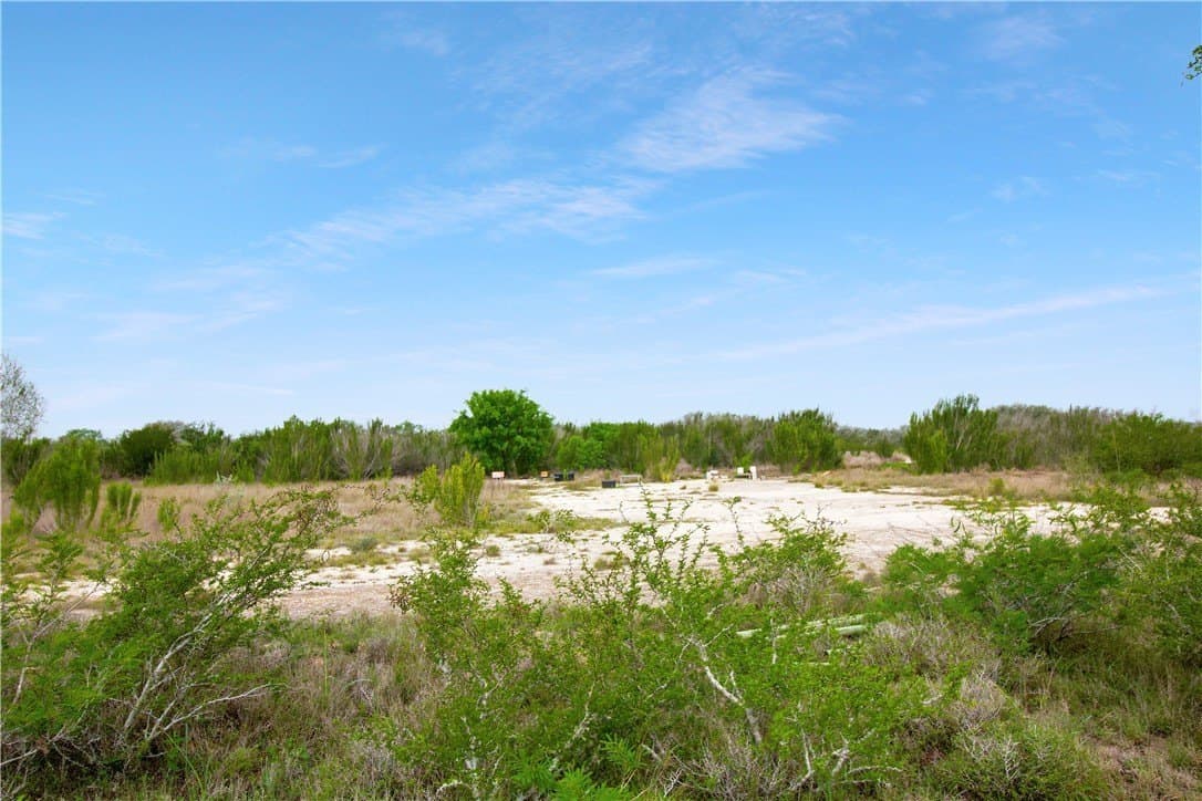 11.81 acres in Bee County gallery image 4