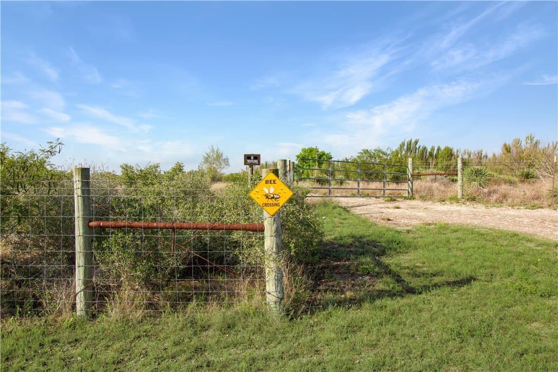 11.81 acres in Bee County gallery image 3