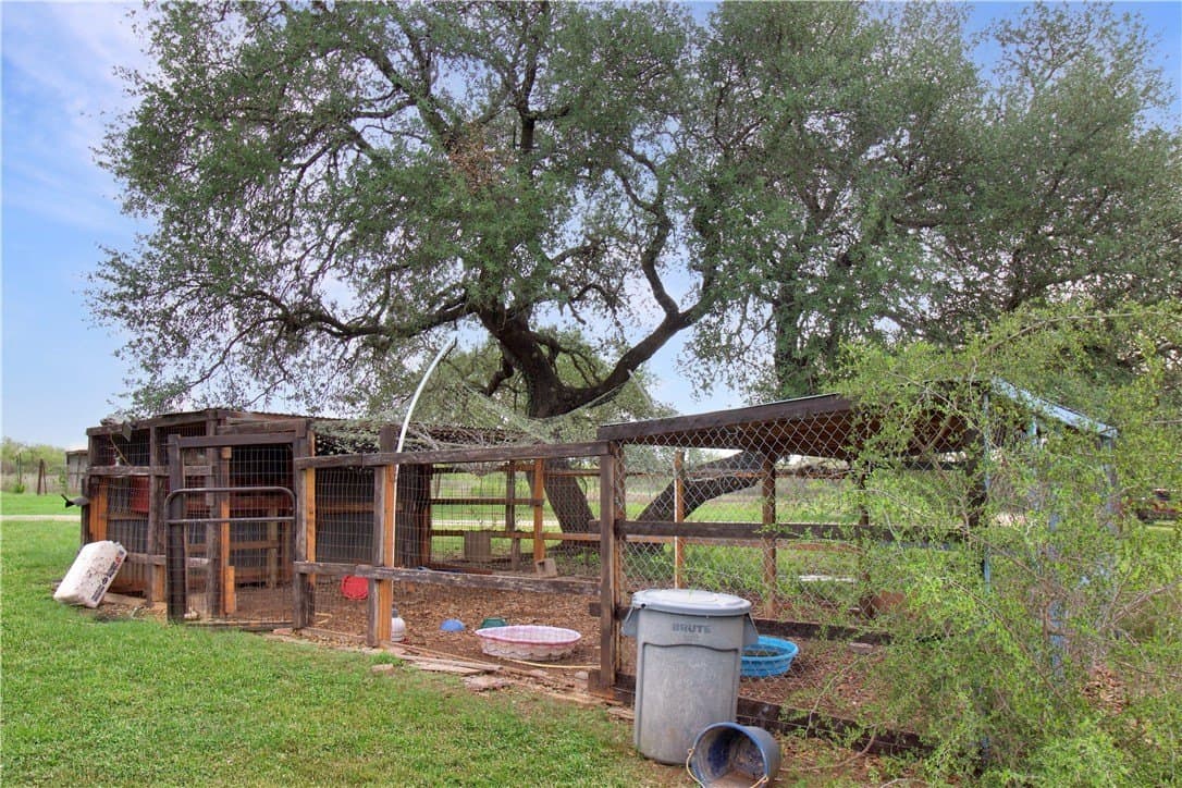 11.81 acres in Bee County featured view