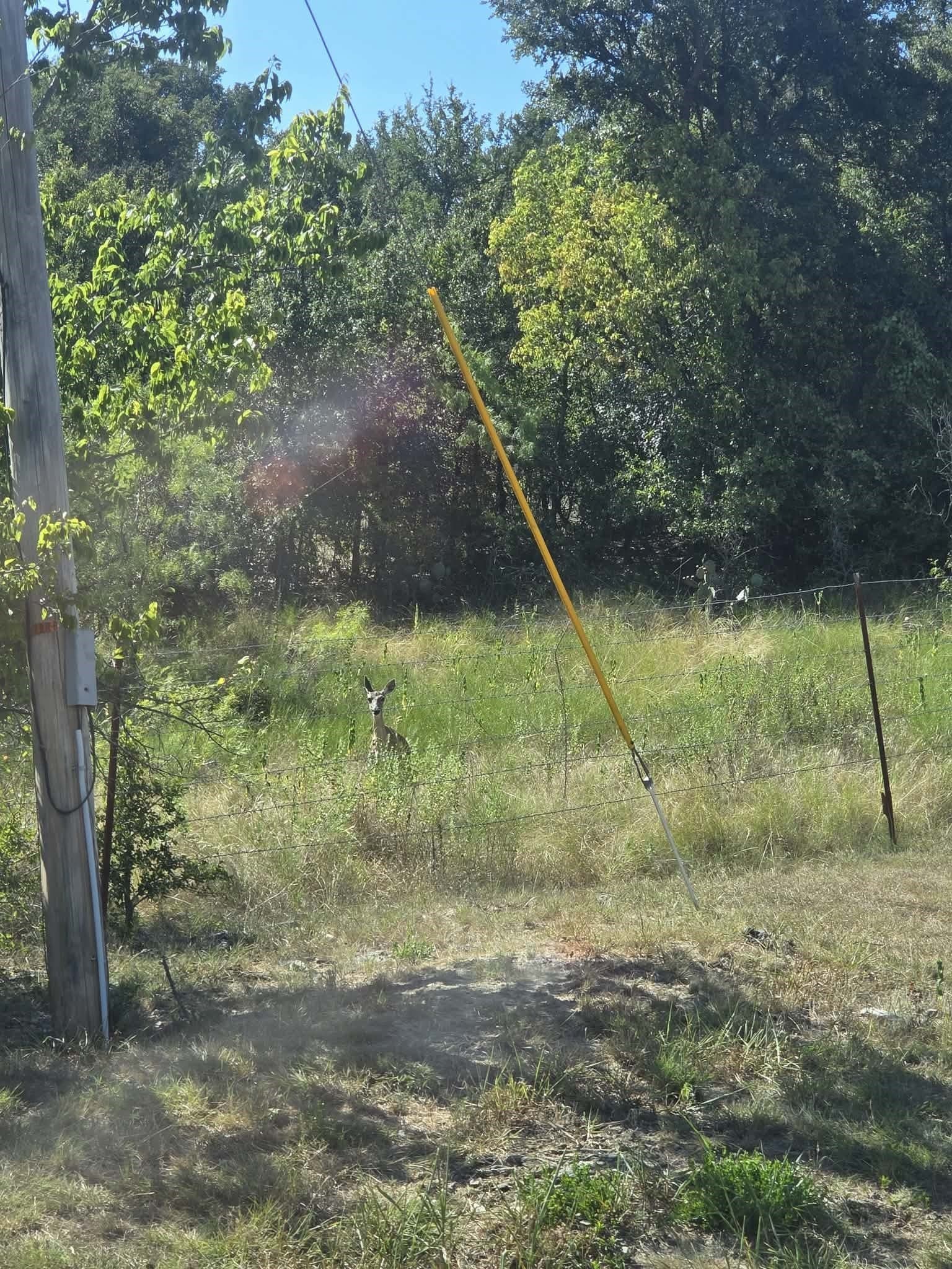 0.52 acres in Wise County - photo 5