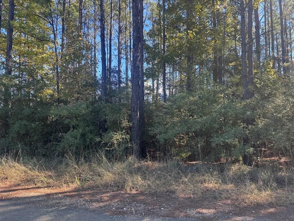 1 acres in Texas County gallery image 3