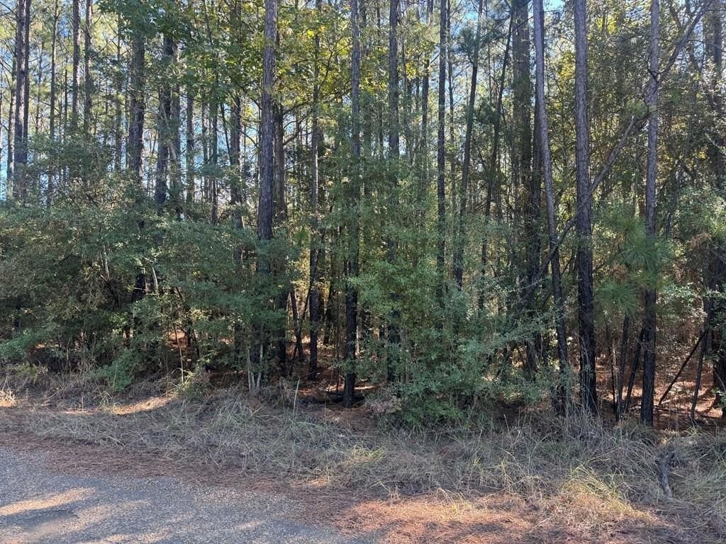 1 acres in Texas County gallery image 2