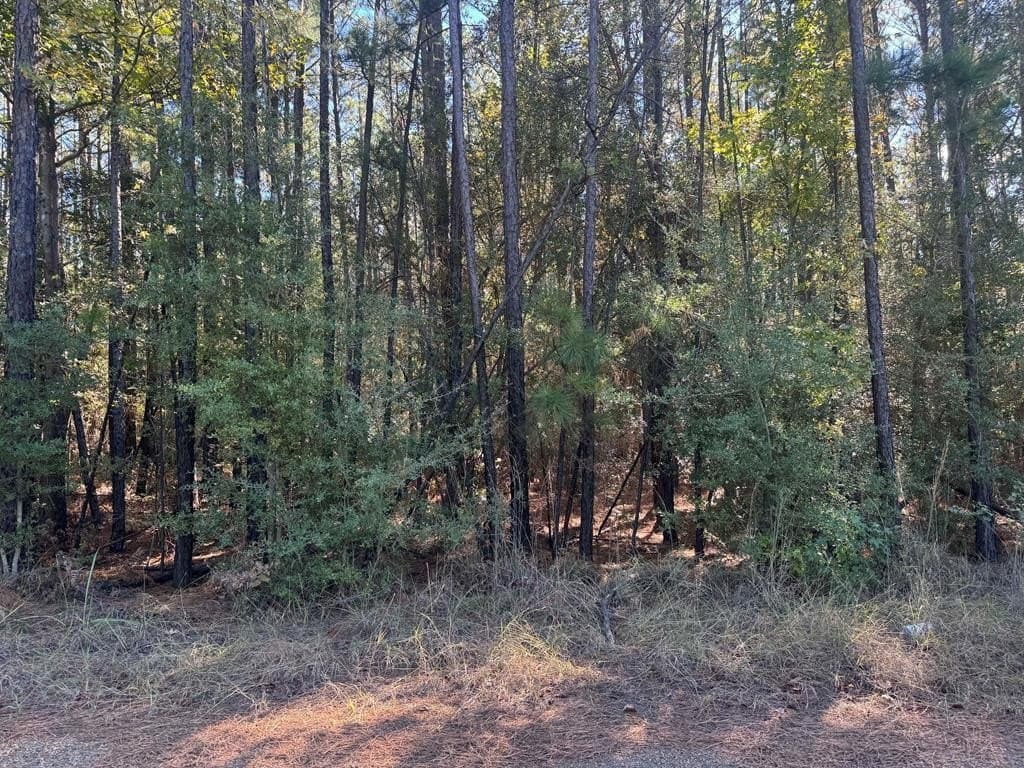 1 acres in Texas County gallery image 4