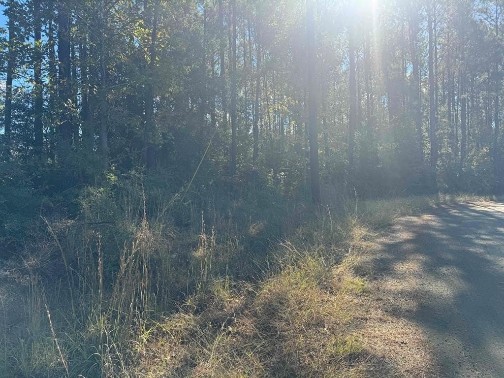 1 acres in Texas County