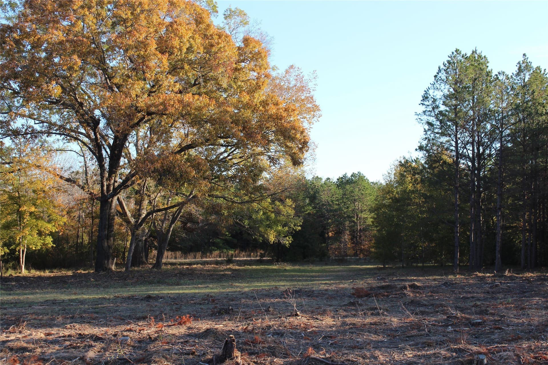 63.59 acres in Cherokee County - photo 39