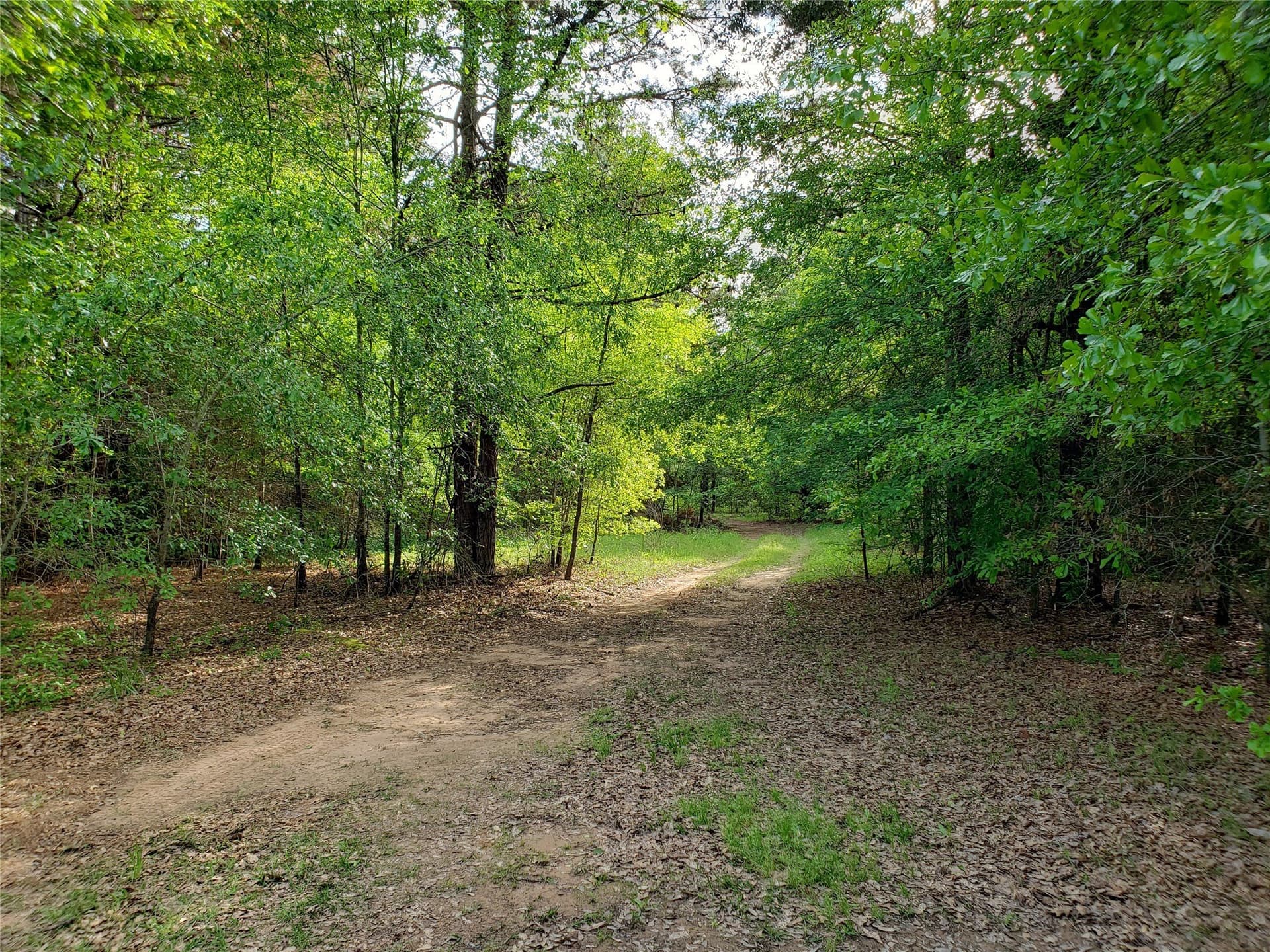 63.59 acres in Cherokee County - photo 2