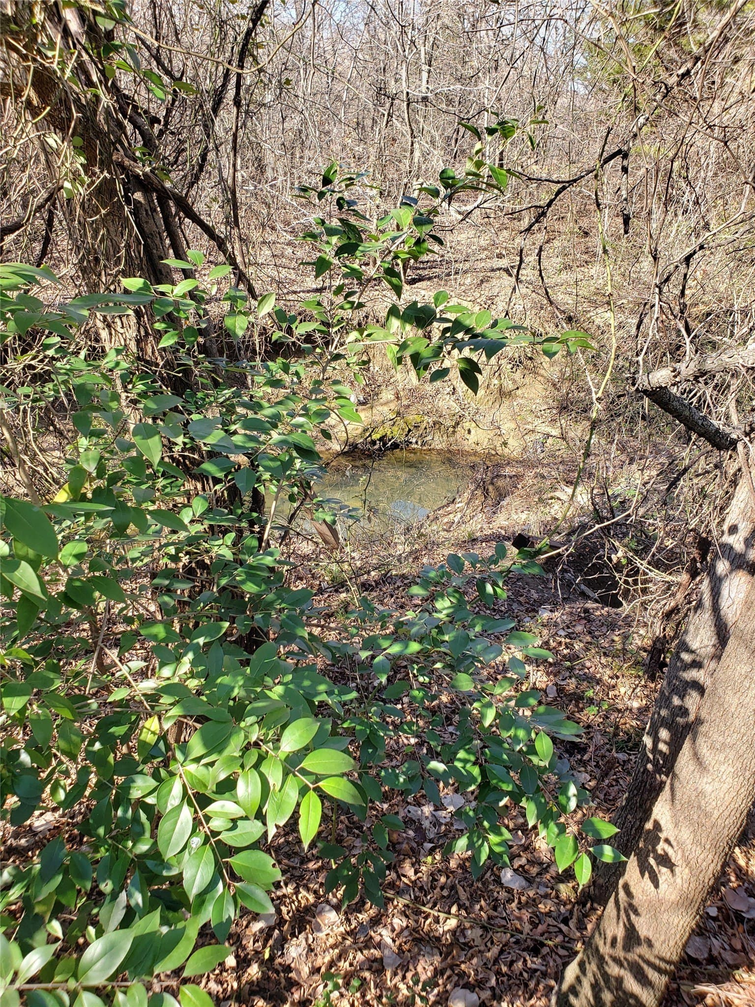 63.59 acres in Cherokee County - photo 36