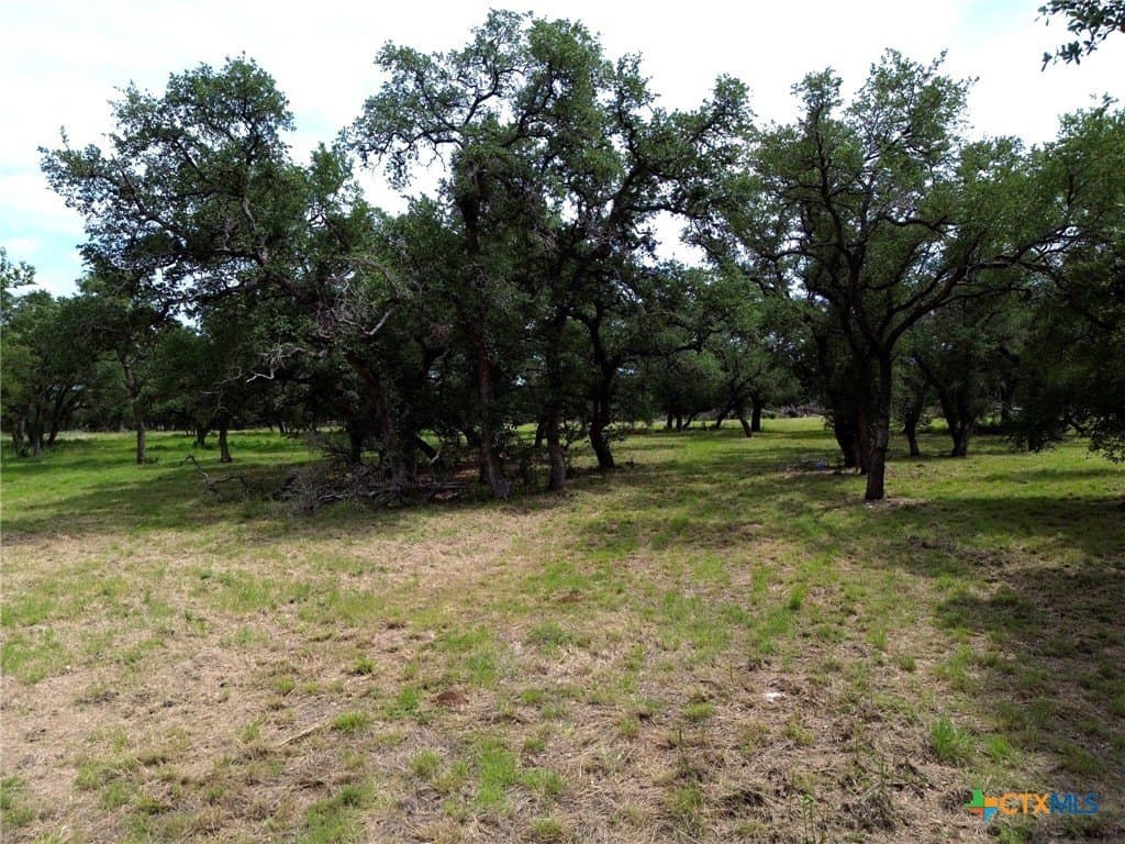 2.51 acres in Bell County - photo 6