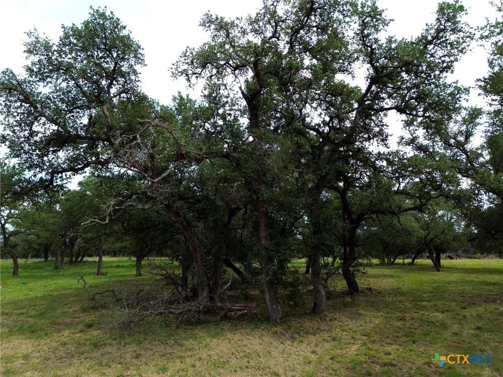 2.51 acres in Bell County - photo 9