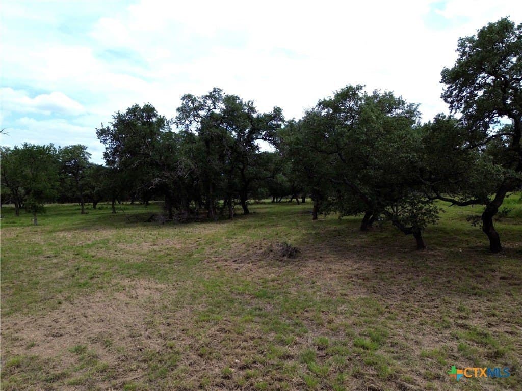 2.51 acres in Bell County gallery image 4