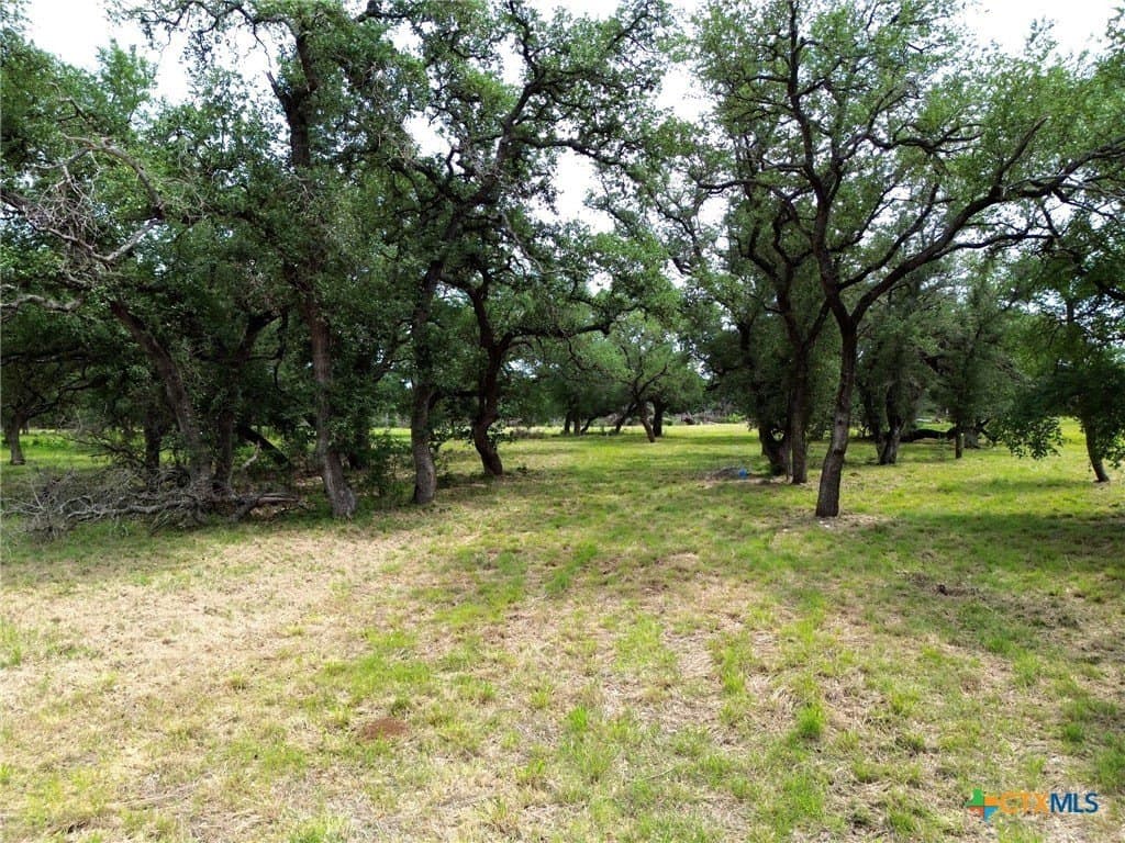 2.51 acres in Bell County - photo 8