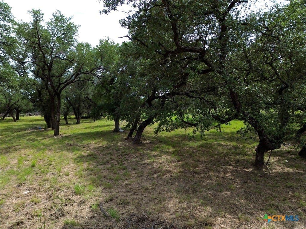 2.51 acres in Bell County - photo 7