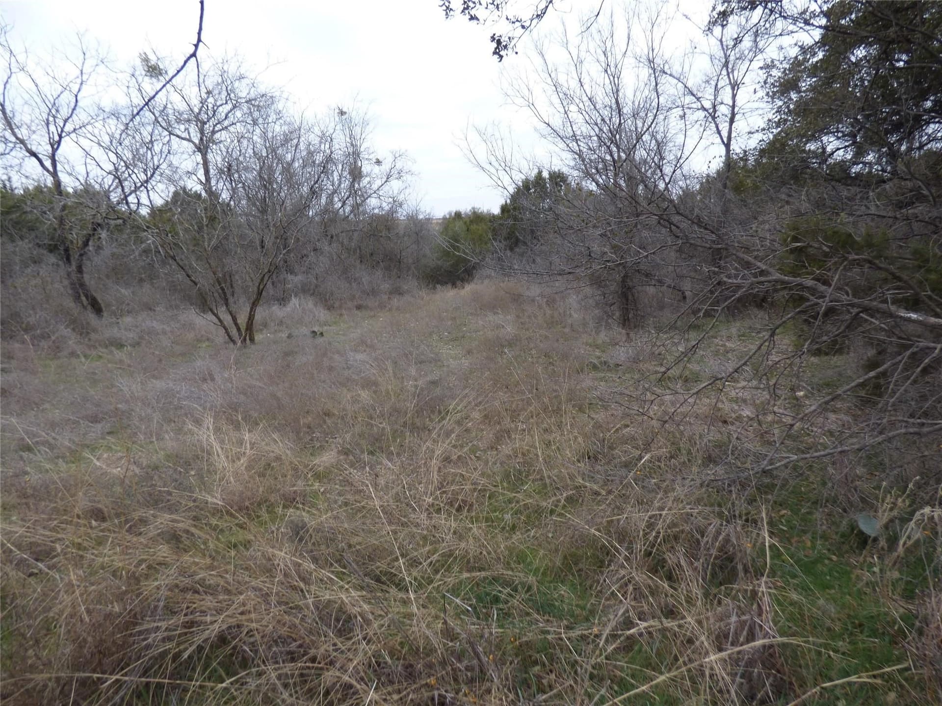 21.46 acres in Erath County