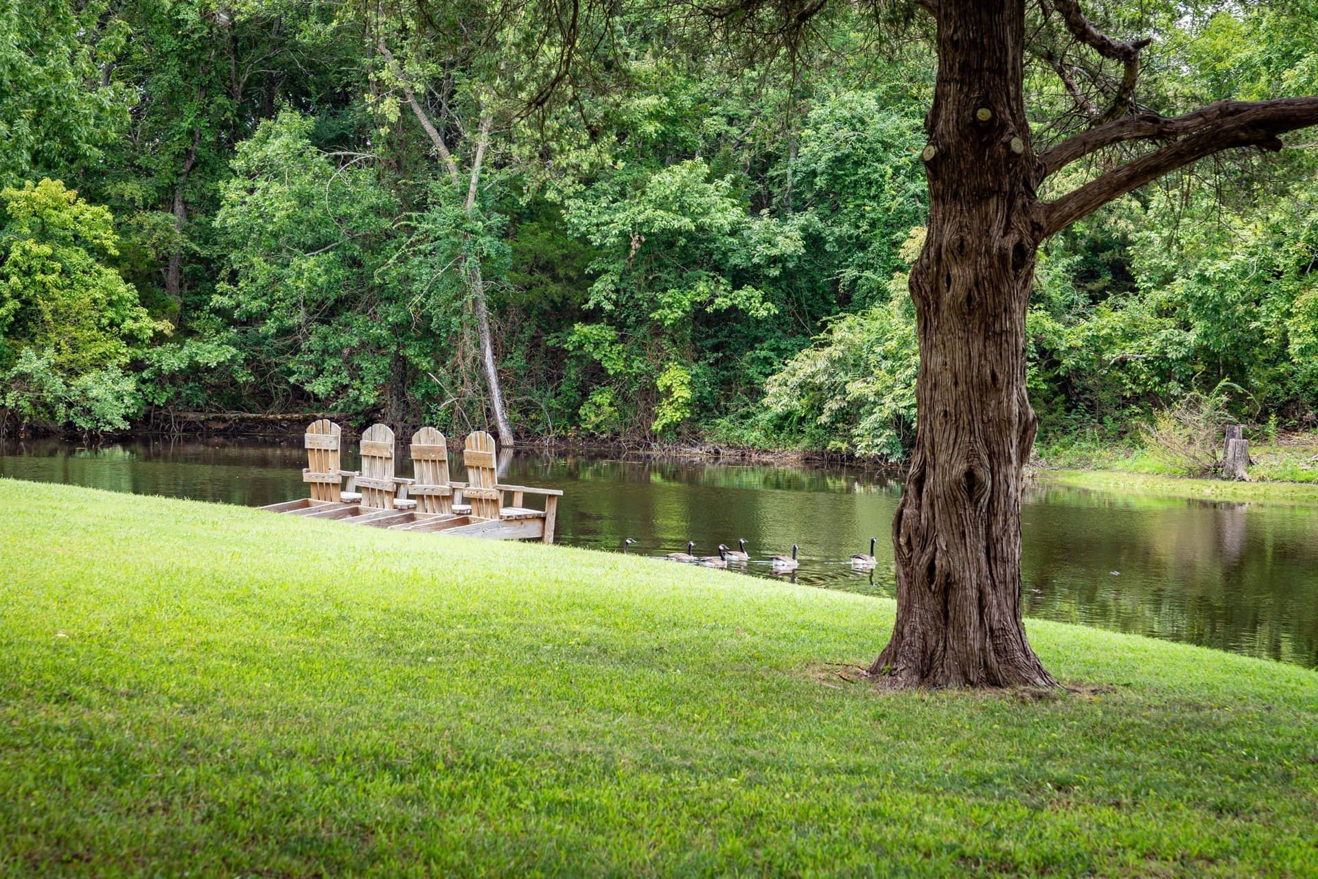 79.46 acres in Grayson County - photo 11