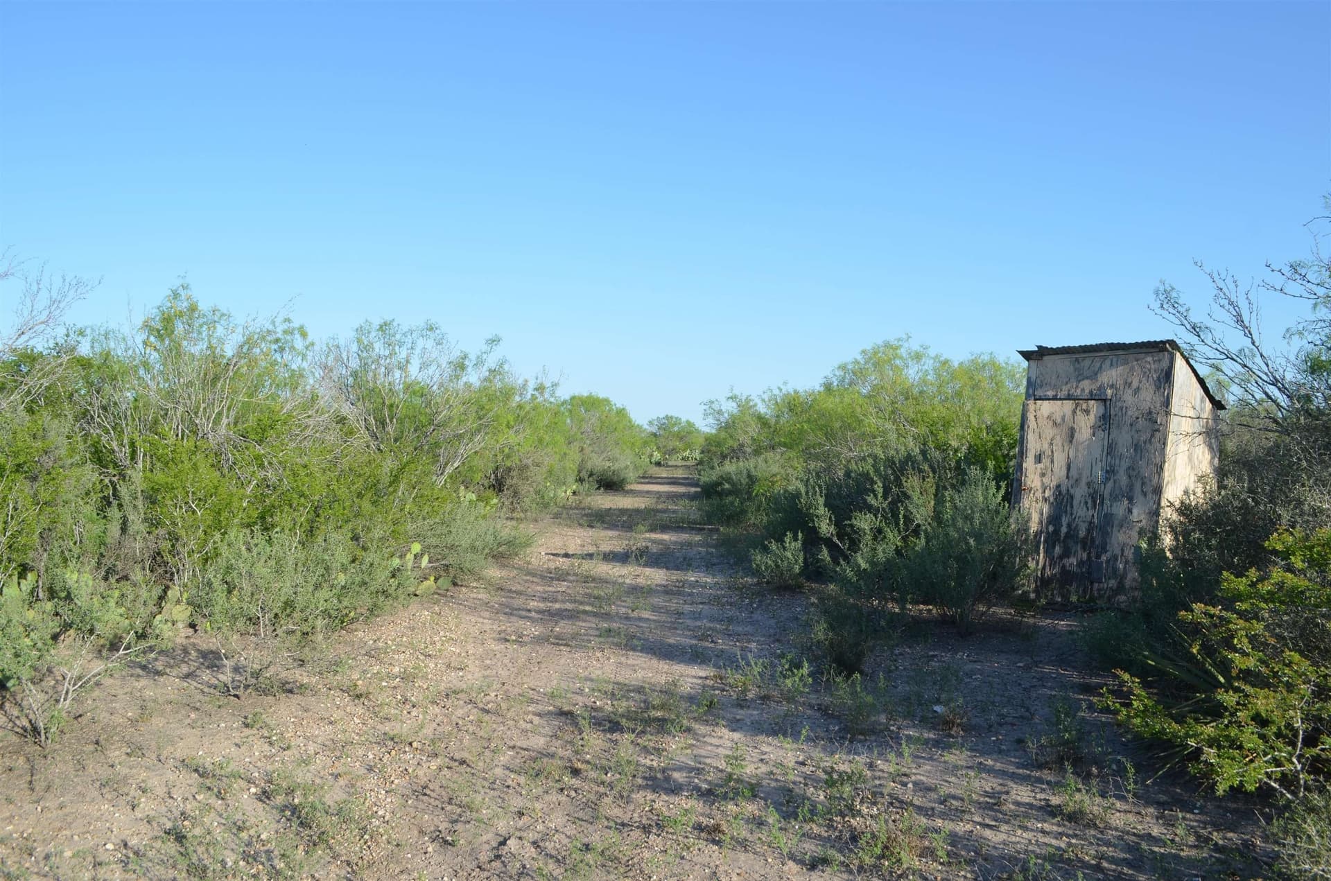 10.39 acres in Texas County gallery image 3