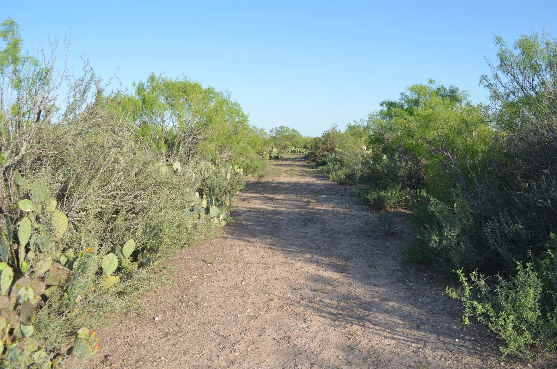 10.39 acres in Texas County gallery image 4