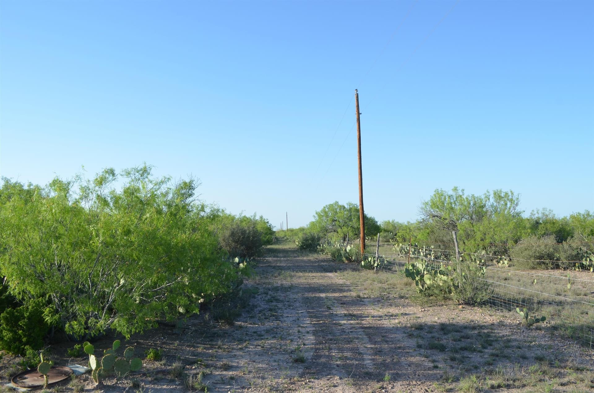10.39 acres in Texas County featured view