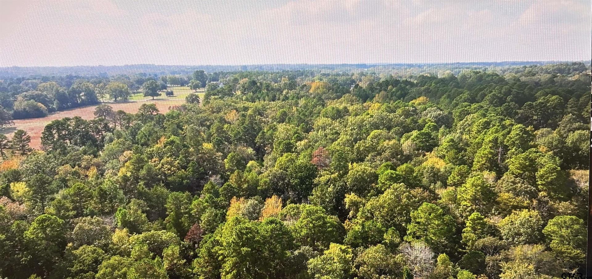 33.42 acres in Smith County gallery image 2
