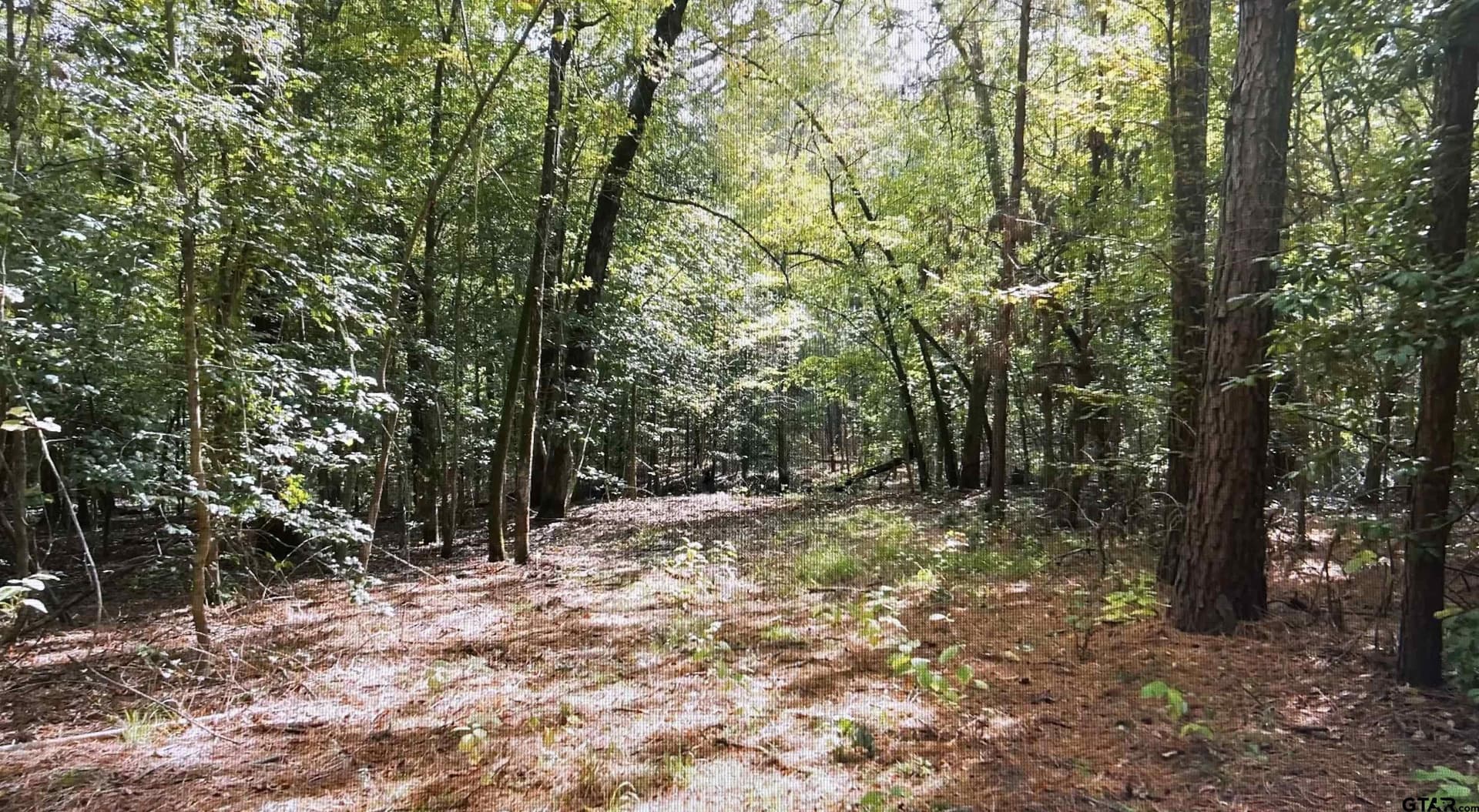 33.42 acres in Smith County featured view
