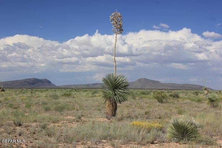 20 acres in Hudspeth County - photo 6