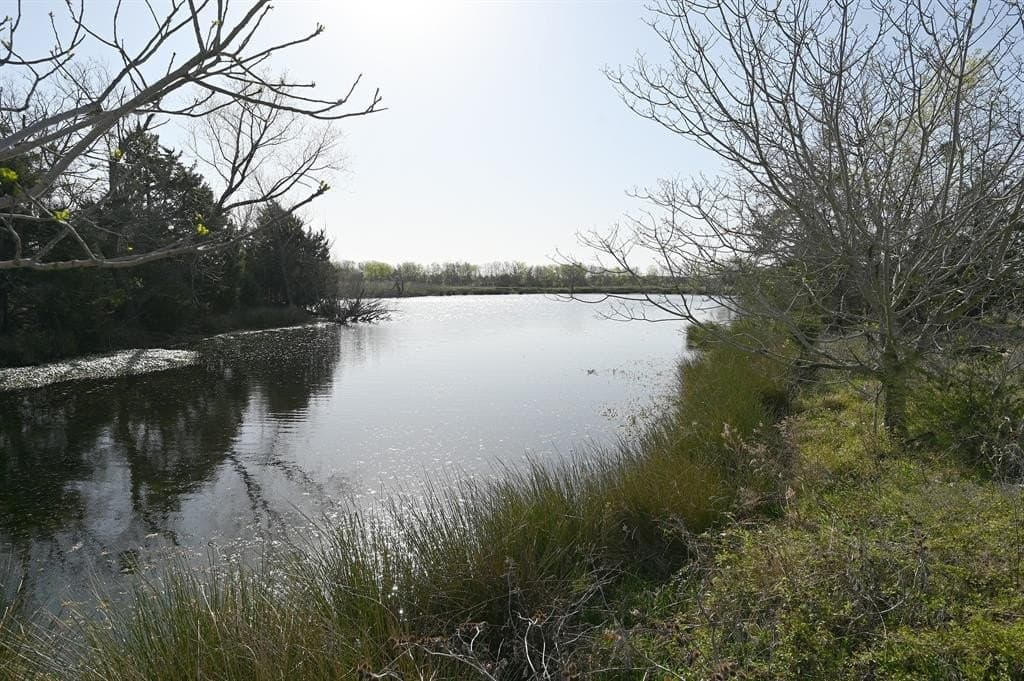 40 acres in Van Zandt County gallery image 4