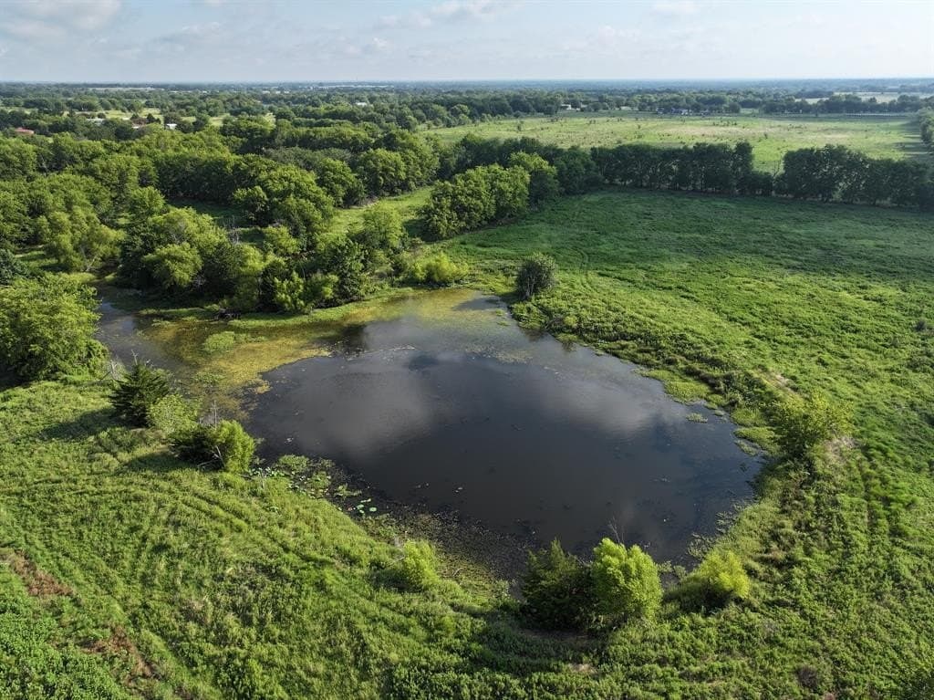 40 acres in Van Zandt County gallery image 2