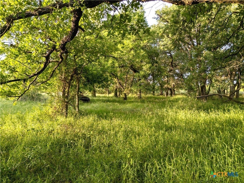 28 acres in Texas County - photo 24